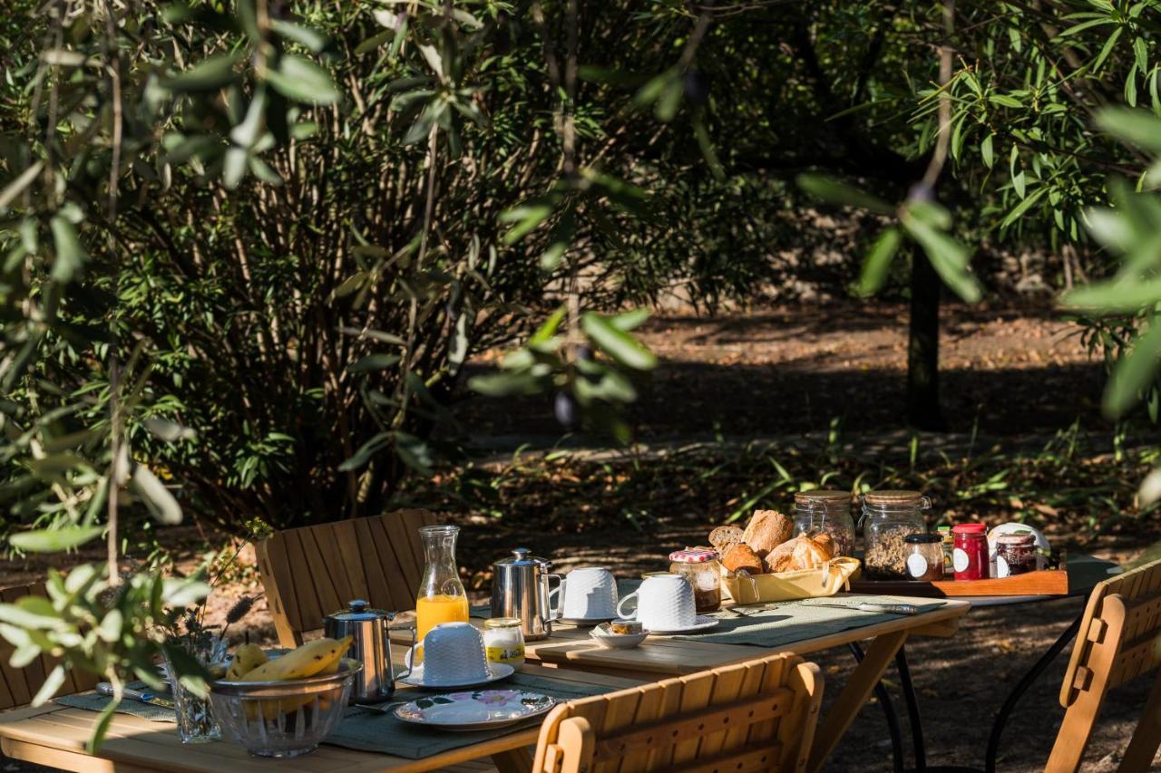 La Closerie Des Iris Castelnau-d'Aude Esterno foto