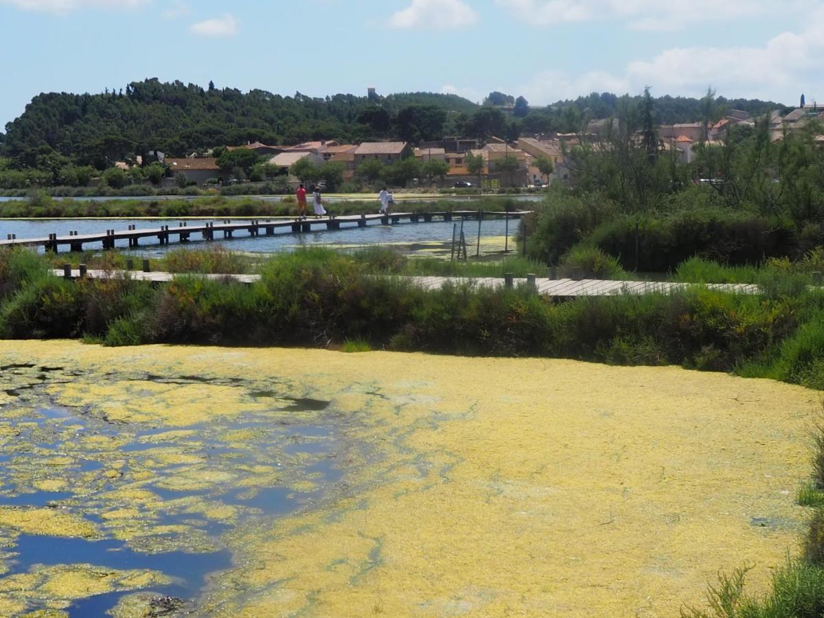 La Closerie Des Iris Castelnau-d'Aude Esterno foto